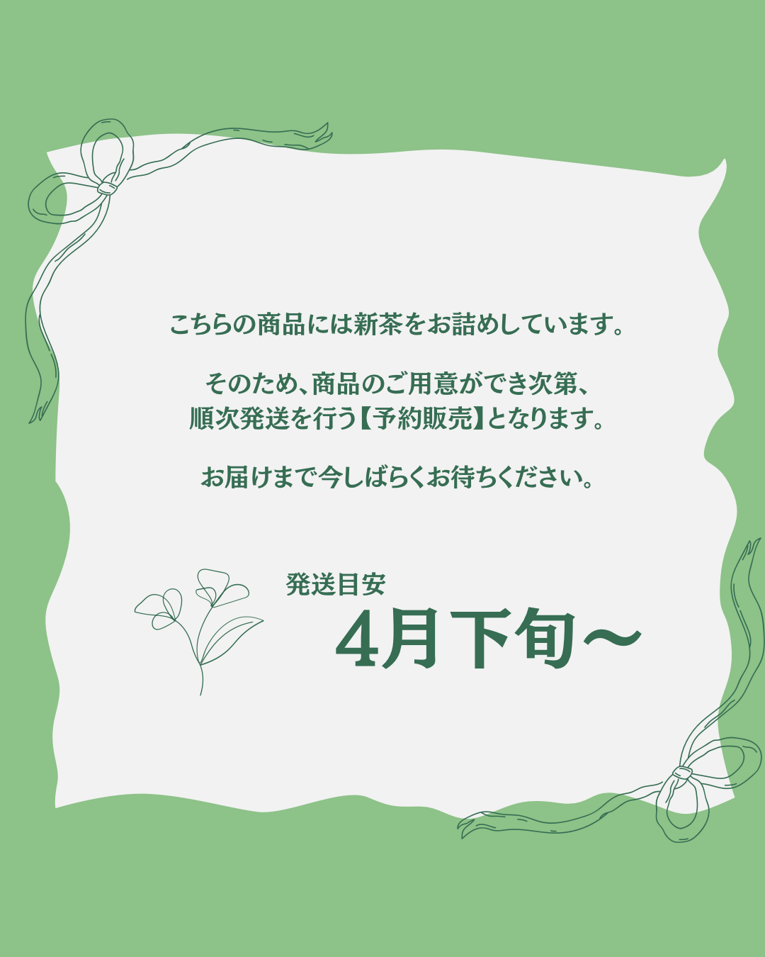 Raku Matcha Sencha Tea Bags (15 bags)